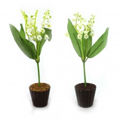 1er mai - Brin de Muguet...