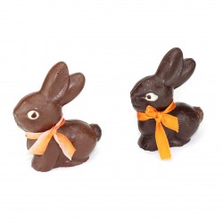 Petit Lapin Grandes Oreilles