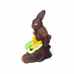 Lapin Jardinier T1