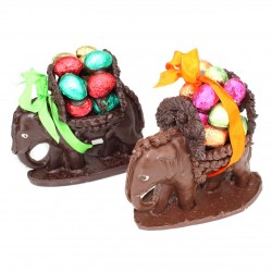 Eléphant du Rajasthan