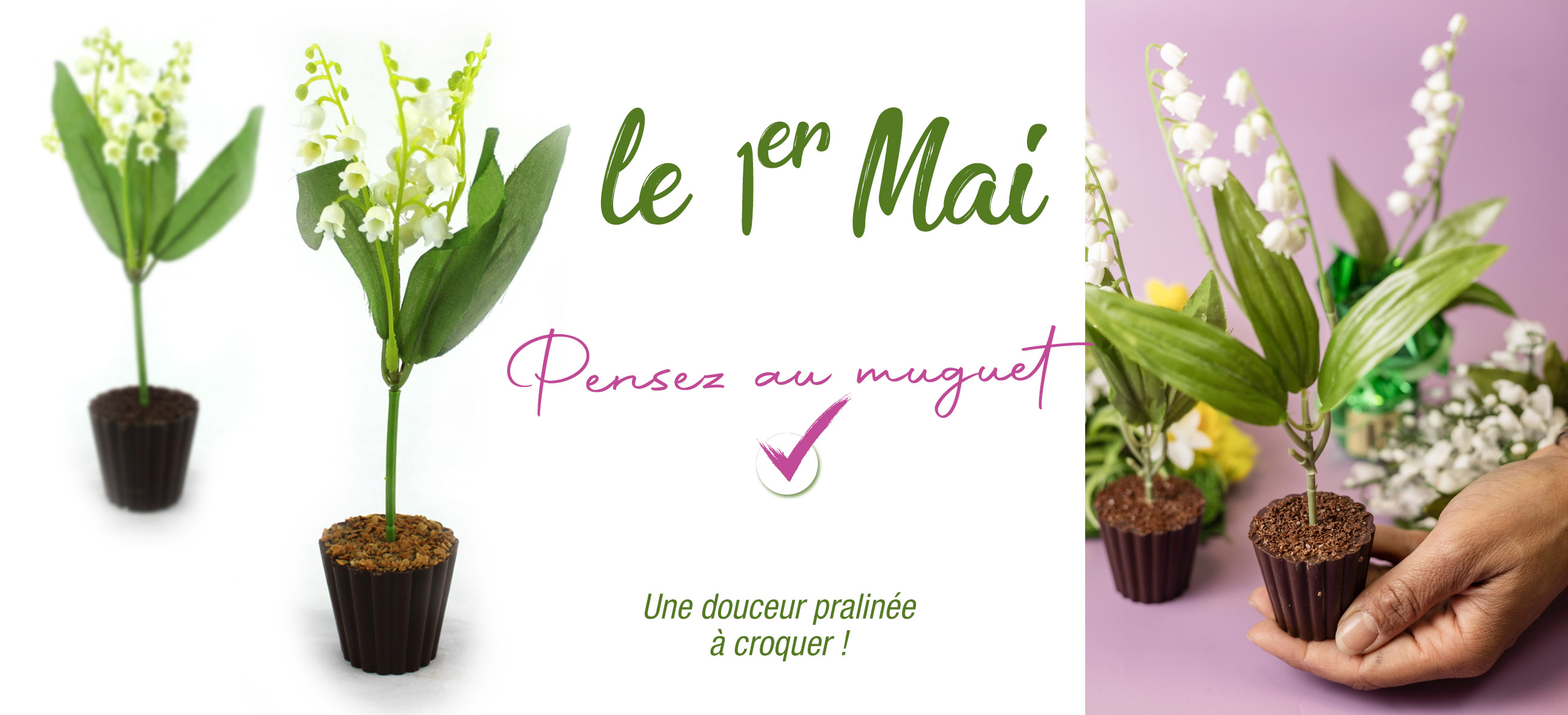 Bienvenue sur notre boutique en ligne !