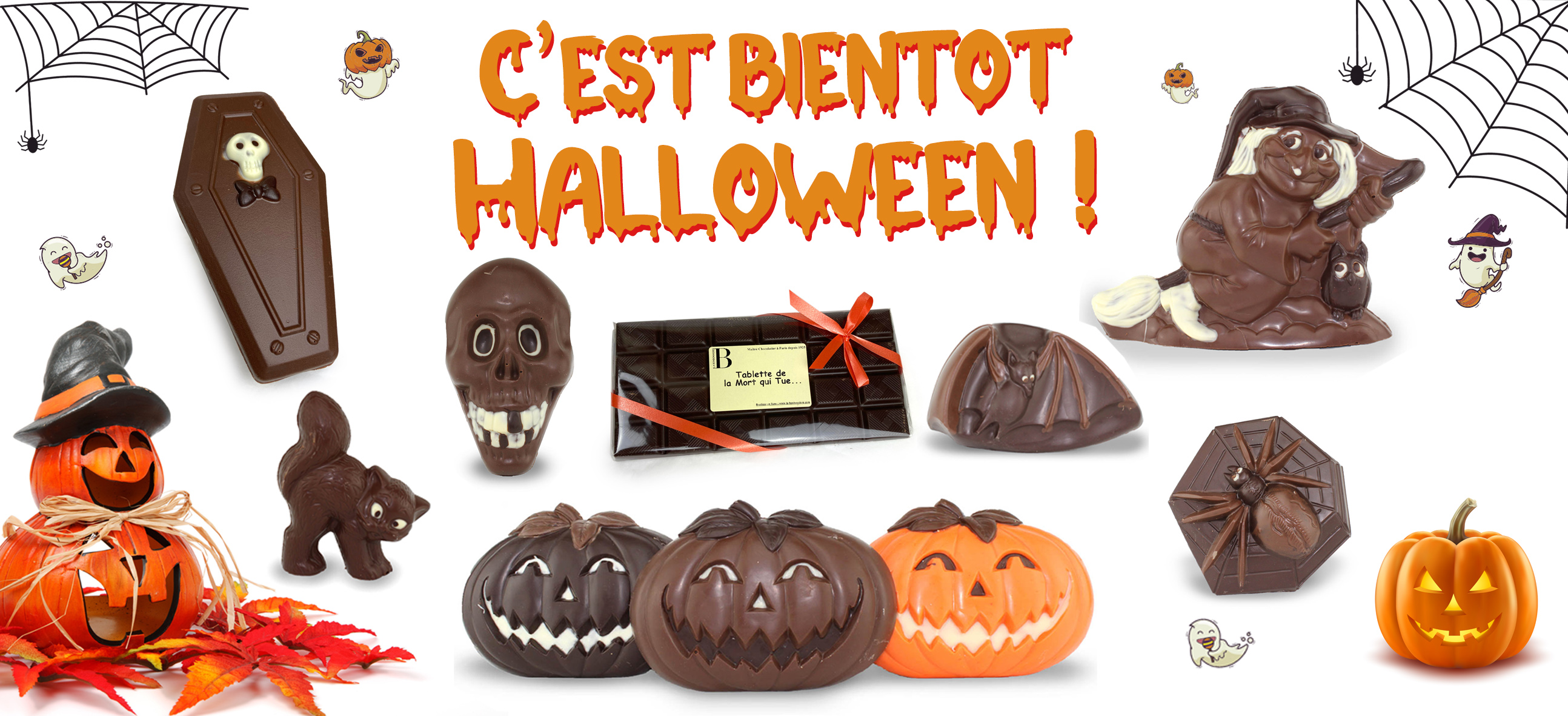 Bienvenue sur notre boutique en ligne !
